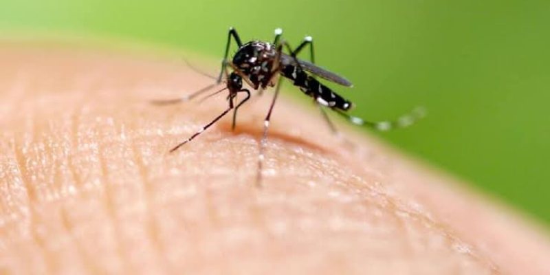 14B01A29-36FF-481D-8770-DA7C88D398F0