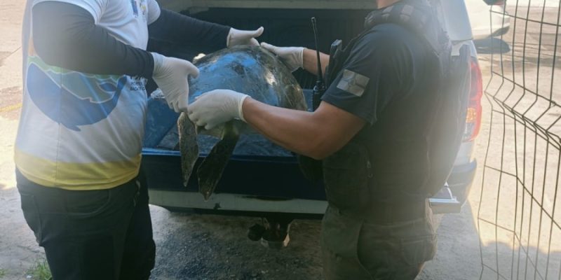 32a1525a-21ff-4543-aa5e-411cf0f1ce9c