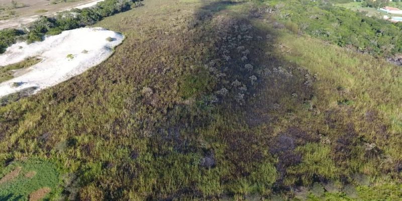 37379646-2023819027650254-4156584051018301440-n