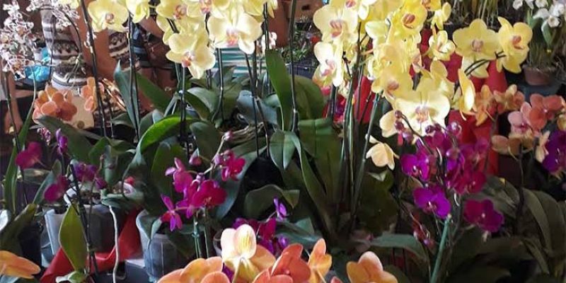 39998E00-9B37-4864-B2A1-A7816913DB91