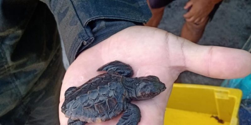 4CB1BF3D-E3E8-46D3-8F4D-76A404DE570A