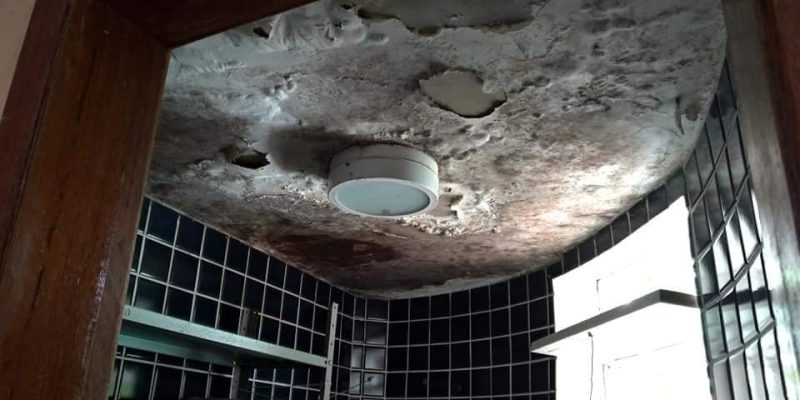 51604590_2032042736873169_8098080074042966016_n