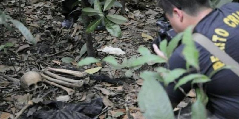 53408429_2247499281968580_5056289586821464064_n