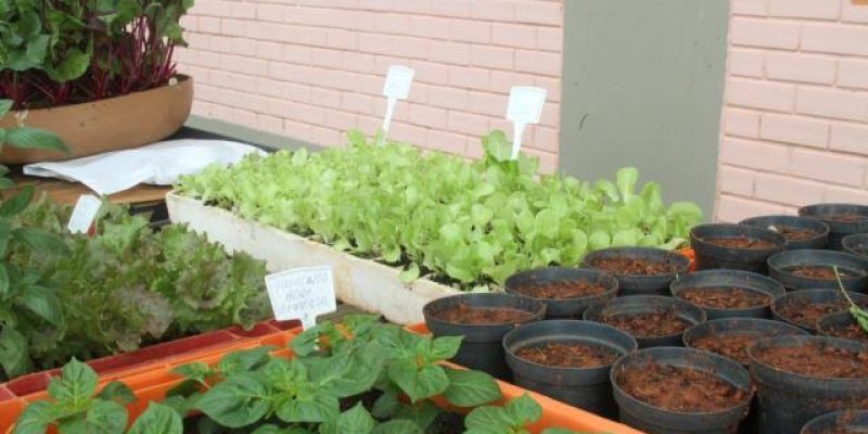 57959810-6021-45CB-8968-A3AC81292857