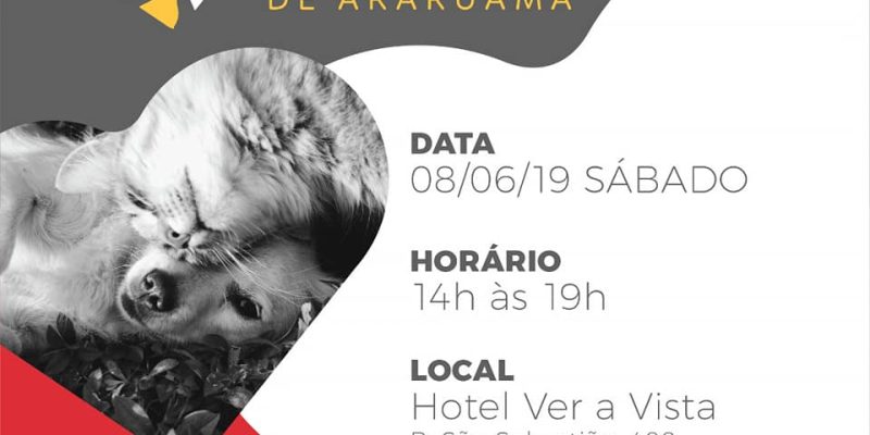 59286115_2264586743860674_4684705083844198400_n