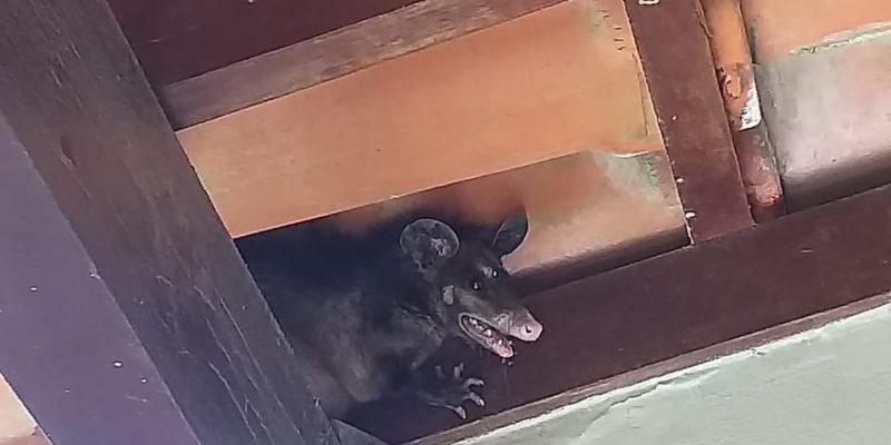 6E2008BC-F4A2-4AA3-B5AA-3B655E36BA71