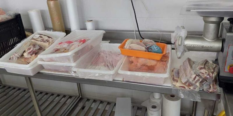 77D295EF-B087-42E2-A444-CB97682B13D5