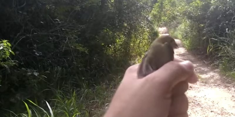 821029E2-7781-4FA0-B519-0BB570AF71E8