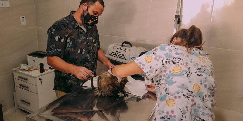 8895BD30-BB47-4F95-BBAA-7698EF245310