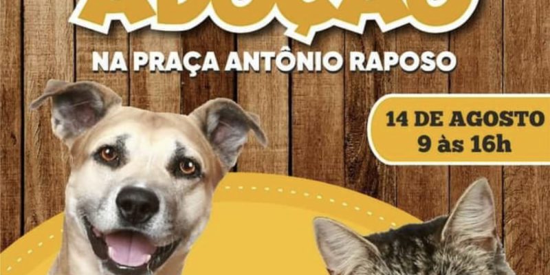 896FDE38-19B5-400A-8B0A-B95E0DFCEF9A