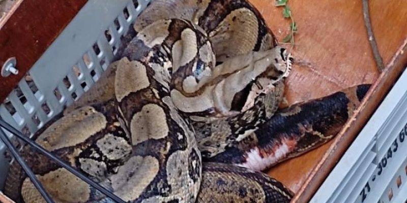 93ADDB0A-AAC4-463C-B3C7-E8BDD0943D28