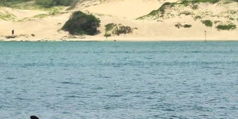 940AD0BD-9800-406D-AC2E-4153EED7FD9C