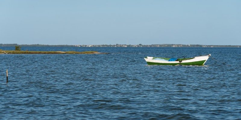 9BB7E6FD-B060-4D27-B60B-580DA3916569