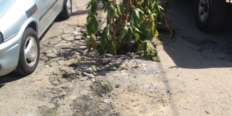 9E6197E6-D596-4490-BD9B-53E46031041E