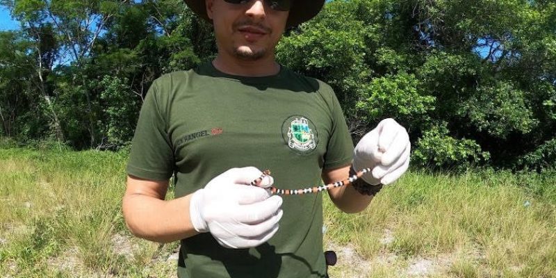 B50C3615-D0E2-4C9C-B1C1-ED7C0767A6D7