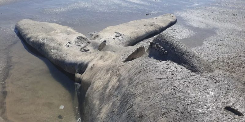 B638F5A2-1673-47C8-A330-02388F7D7843