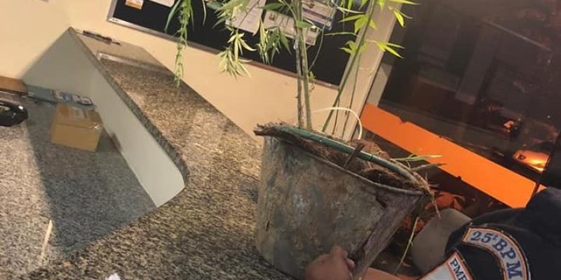 B766DB20-1EFF-4E24-A48E-320B3E32E666