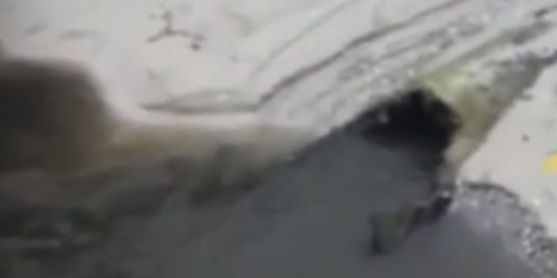 BB2E485F-1650-4B89-927C-0A391F8726D4