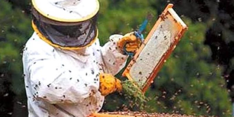 CE2F35AF-7DD2-4F5B-A984-26628BF3F83D