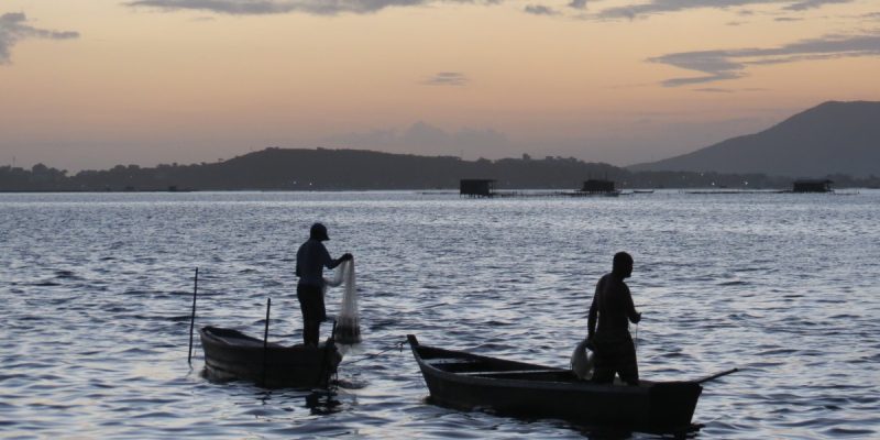 D2EE43B2-0CCC-4315-88B2-D52A7995D36C