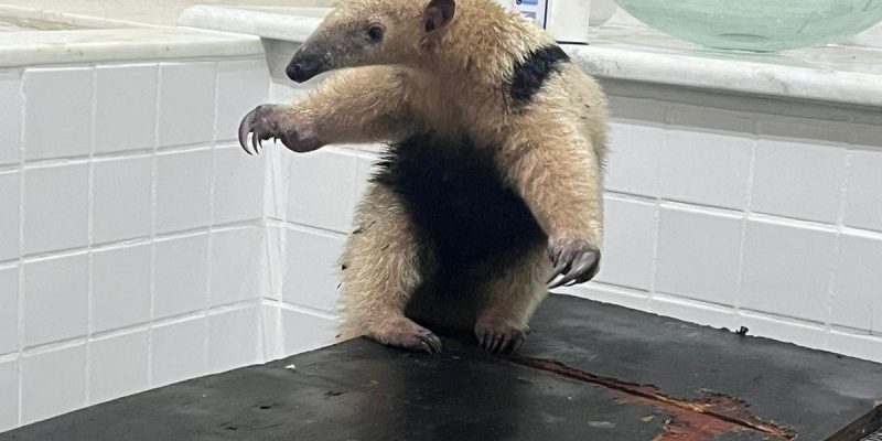 D39EFA23-FF7A-42B9-97ED-6FDBCFD98F70