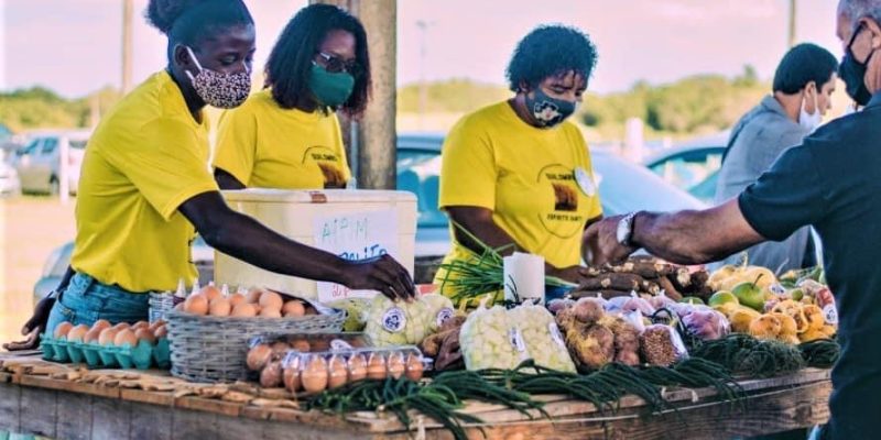 DA035EF8-66F6-4739-84A2-D1DB9EDE71B3