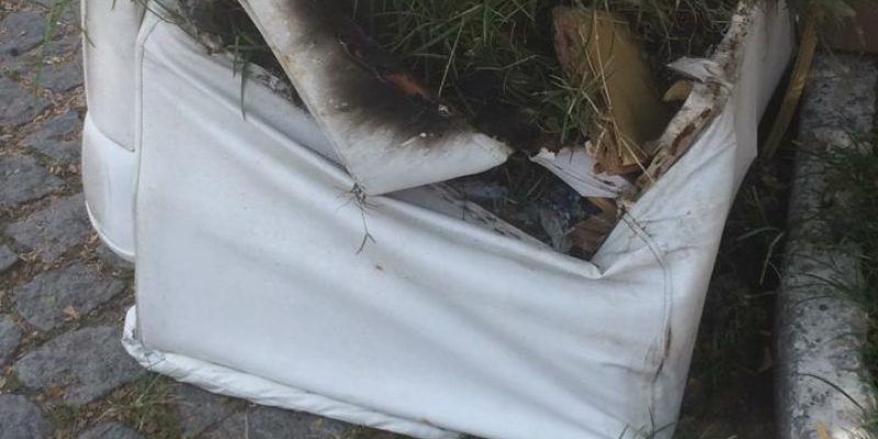 DAFBF955-0C9A-4958-A82E-E9968B341BA1