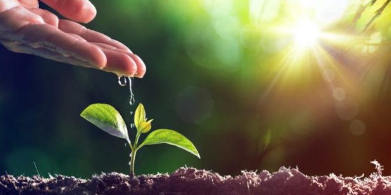 Dia-Mundial-do-Meio-ambiente-810x450