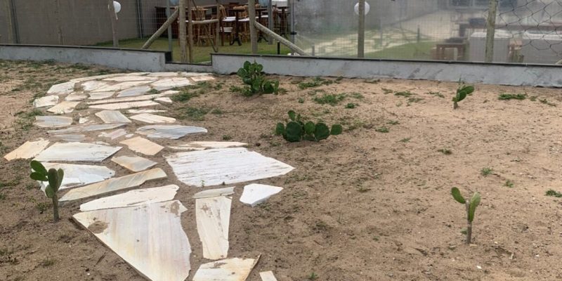 E30EC55D-A5E2-4F69-A0CC-F9FB55BE27DF