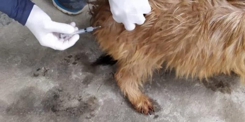 E6C4345A-4B26-4632-9C65-B8F1B76E5AEE