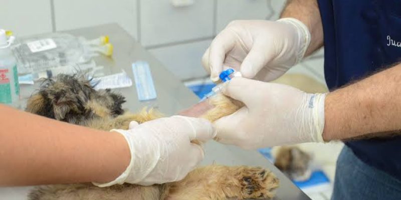 ED81C881-7029-47FD-B530-22DC115FB66B