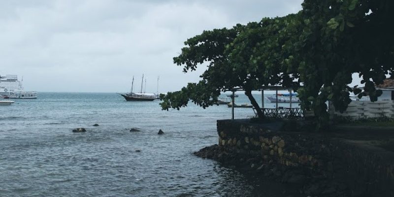 IMG_0747
