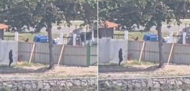 IMG_1605