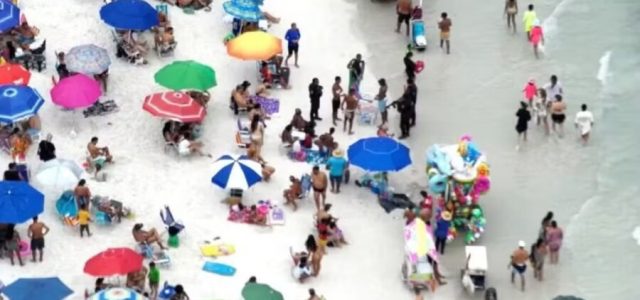 IMG_6657