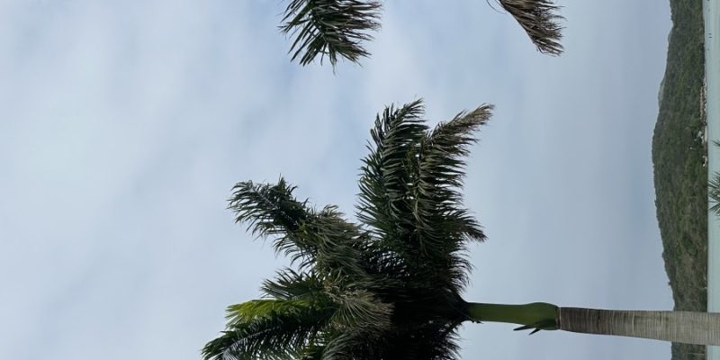 IMG_8902