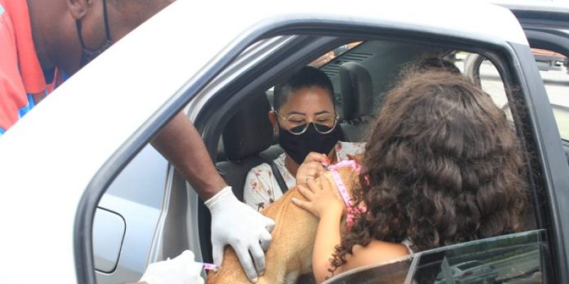 Maricá vacina animais em sistema drive thru