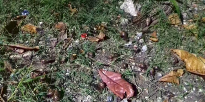 WhatsApp-Image-2019-03-27-at-15.07.44