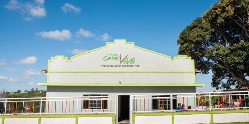 canaviva-36-2-