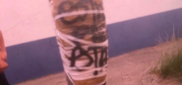 dd3d75c6-d7f7-4493-9db8-40aead5bc613