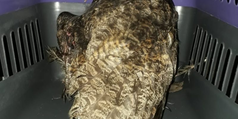 f5bbe0f4221257652302