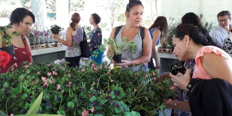 Evento reunirá expositores de plantas ornamentais, artesanato, brechós, moda e espaço gourmet para quem gosta de unir contato com a natureza e diversão