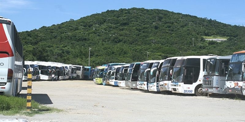 imagem-2