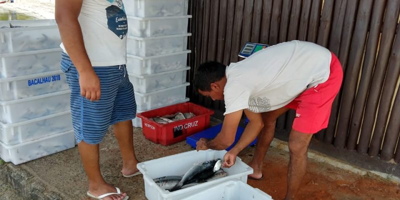 pesca 1