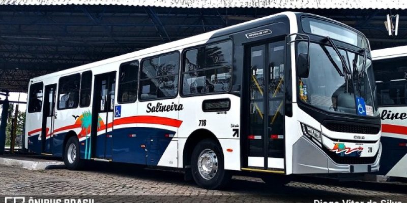 salineira foto