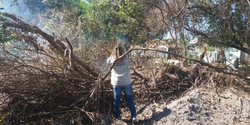 supress_o_vegeta_o_parque_Mico_Le_o_Dourado_1