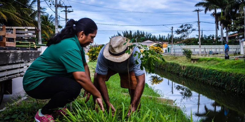 thumbnail_42583655131_b08c60dfbe_b