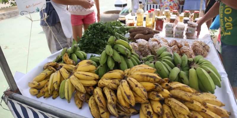 thumbnail_Feira Orgânica de Saquarema completa 01 ano