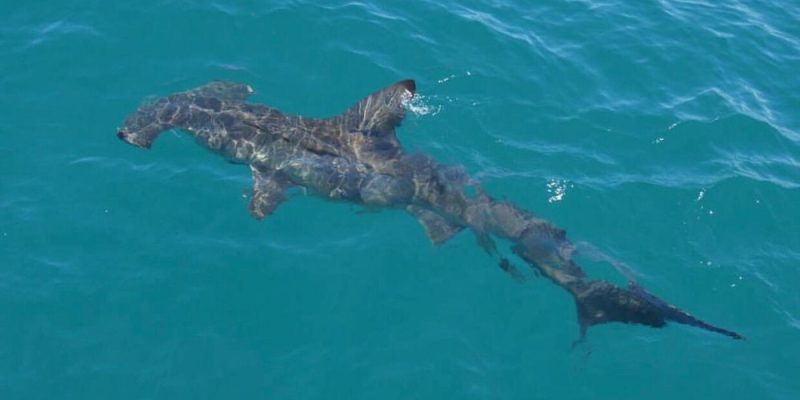 whatsapp-image-2019-03-08-at-11.15.45