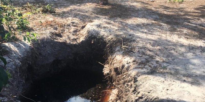 whatsapp-image-2019-07-05-at-08.51.52